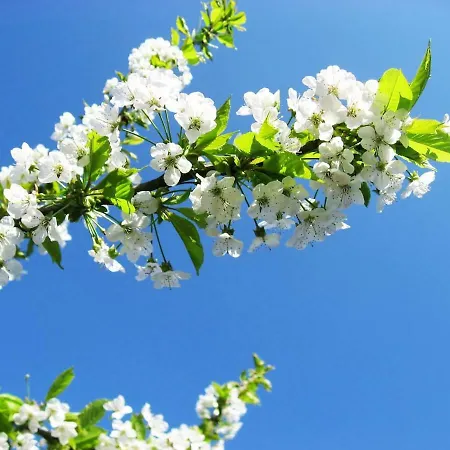 Wohlfühlen In - Drabenderhöhe Apartment *