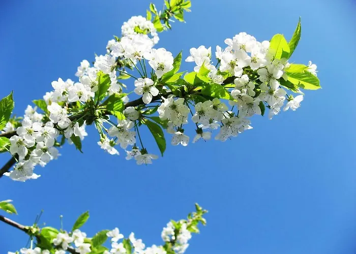 Wohlfuehlen In - Drabenderhoehe 아파트 *